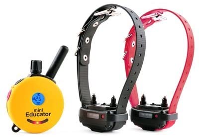 Educator ET-302 Two Dog Mini 1/2 Mile E-Collar Remote Dog Training Collar With Vibration, Tapping Sensation and Pavlovian Stimulation