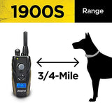 Dogtra 1900S Remote Training Collar - 3/4 Mile Range, Waterproof, Rechargeable, 127 Training Levels, Vibration - Includes PetsTEK Dog Training Clicker