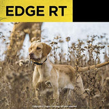 Dogtra Edge RT Long Range High-Output 1-Mile Waterproof 3-Dog Expandable Remote Dog Training E-Collar with Combination Boost Control for Professionals
