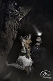 SportDOG Brand HoundHunter 3225 Remote Trainer - 2 Mile Range - Rechargeable, Waterproof Multi Dog Training Collar with Tone, Vibration, and Static