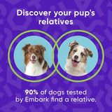 Embark Breed Identification Kit | Most Accurate Dog DNA Test | Test 350+ Dog Breeds | Breed ID Kit with Ancestry & Family Tree