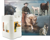 UltraCruz Livestock Foaming Shampoo, 5 Gallon, Refill