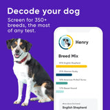 Embark Breed Identification Kit | Most Accurate Dog DNA Test | Test 350+ Dog Breeds | Breed ID Kit with Ancestry & Family Tree