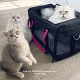 ROVERLUND Airline Compliant Pet Carrier, Travel Bag & Car Seat. Includes Bonus Leash. Stylish. Durable. Two Sizes for Most Pets up to 20lbs.