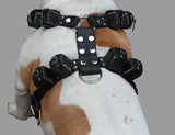 10 Lbs Black Genuine Leather Weighted Pulling Dog Harness for Exercise and Training. Fits 35"-44" Chest
