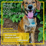 Dogtra 280C Waterproof 127-Level Precise Control LCD Screen ½-Mile Remote Training Dog E-Collar