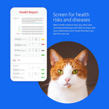 Basepaws Cat DNA Test | Breed + Health + Dental Report | Top Cat Breeds & 115 Health & Trait Markers | As Seen On Shark Tank