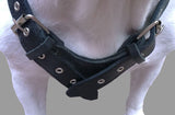 10 Lbs Black Genuine Leather Weighted Pulling Dog Harness for Exercise and Training. Fits 35"-44" Chest