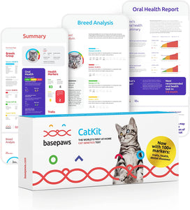 Basepaws Cat DNA Test | Breed + Health + Dental Report | Top Cat Breeds & 115 Health & Trait Markers | As Seen On Shark Tank