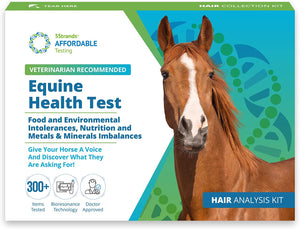 5Strands Equine Health Test: Food Intolerance, Environment Intolerance, Nutrition, Metals and Minerals - at Home Dog or Cat Hair Sample Collection Kit, Results in 7 Days Works for All Ages and Breeds