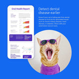 Basepaws Cat DNA Test | Breed + Health + Dental Report | Top Cat Breeds & 115 Health & Trait Markers | As Seen On Shark Tank