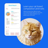 Basepaws Cat DNA Test | Breed + Health + Dental Report | Top Cat Breeds & 115 Health & Trait Markers | As Seen On Shark Tank