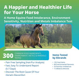5Strands Equine Health Test: Food Intolerance, Environment Intolerance, Nutrition, Metals and Minerals - at Home Dog or Cat Hair Sample Collection Kit, Results in 7 Days Works for All Ages and Breeds