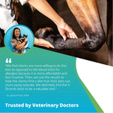 5Strands Equine Health Test: Food Intolerance, Environment Intolerance, Nutrition, Metals and Minerals - at Home Dog or Cat Hair Sample Collection Kit, Results in 7 Days Works for All Ages and Breeds