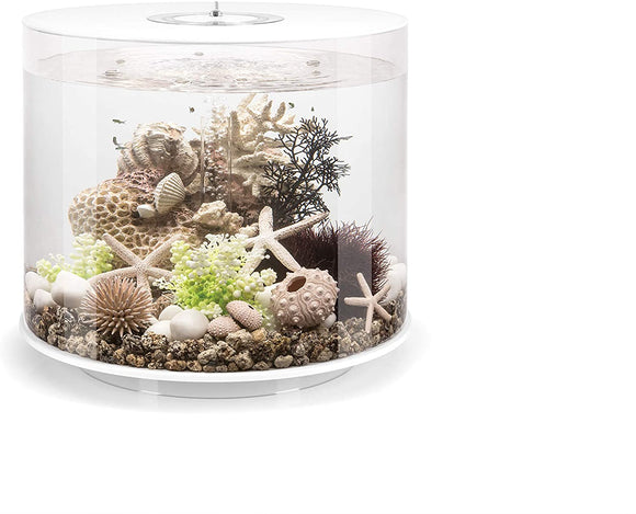 Tube 35 Aquarium with Standard Light - 9.2 Gallon, White