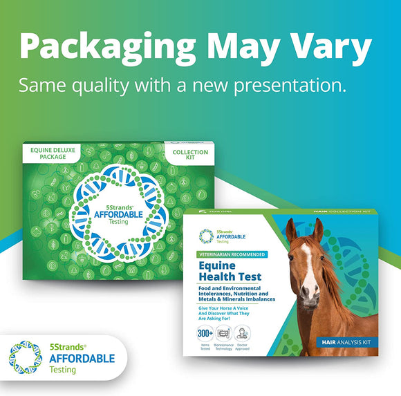 5Strands Equine Health Test: Food Intolerance, Environment Intolerance, Nutrition, Metals and Minerals - at Home Dog or Cat Hair Sample Collection Kit, Results in 7 Days Works for All Ages and Breeds