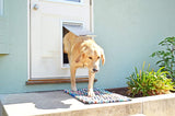 Endura Flap Pet Door for Walls Single Flap | Extra Insulated & Cold Weather Dog Door | Aluminum Frame, Telescoping Tunnel, & Locking Cover | Small, Medium, Large, Extra Large | White, Tan, Black