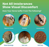 5Strands Equine Health Test: Food Intolerance, Environment Intolerance, Nutrition, Metals and Minerals - at Home Dog or Cat Hair Sample Collection Kit, Results in 7 Days Works for All Ages and Breeds