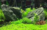 Seachem Flourish Excel Bioavailable Carbon - Organic Carbon Source for Aquatic Plants 20L